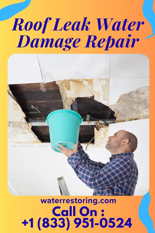 Roof Leak Water Damage Repair in Fort Meade, FL
